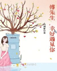 傅先生 遇到你真好全文免费阅读