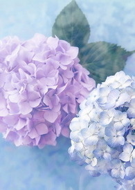 少爷闯祸回家挨打